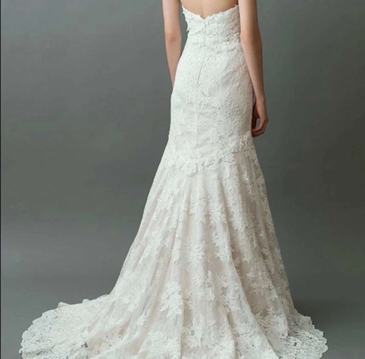 Jenny Yoo Morgan Wedding Gown - Image 4