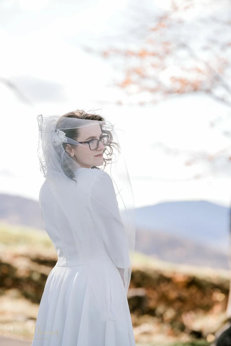 BHLDN Valdis Dress - Image 5