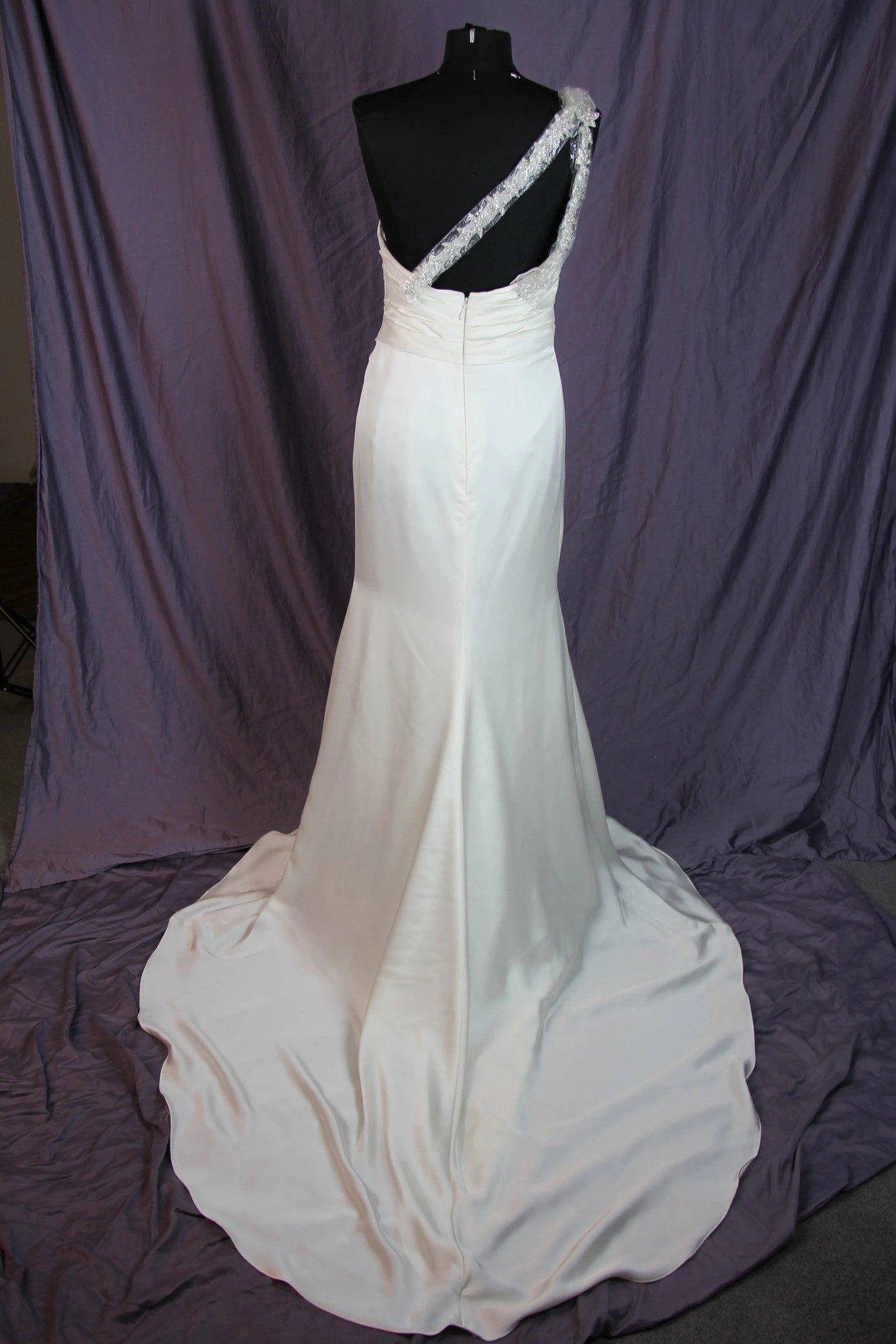 Pronovias - Ugarte Sample Gown - Image 10