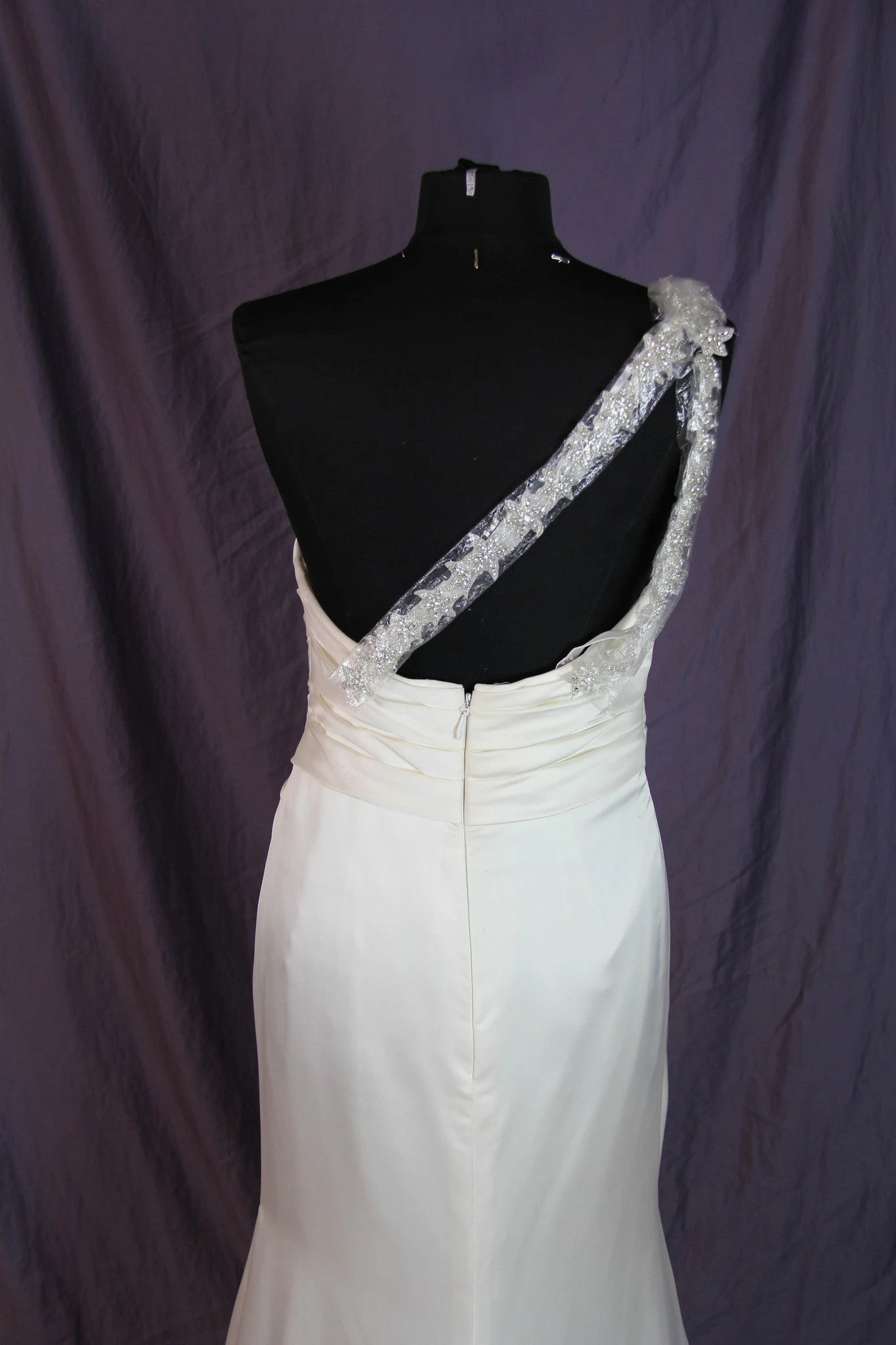 Pronovias - Ugarte Sample Gown - Image 11