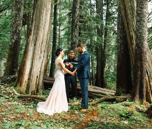 BHLDN Needle & Thread Cate Gown - Image 15